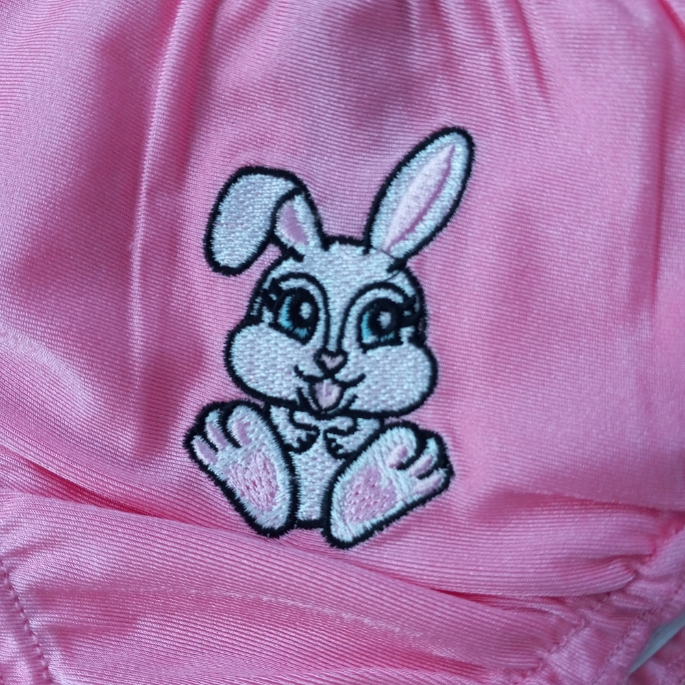 FINAL PRICE Dolls Kill Silky cheeky bunny embroidered pink ruffle edged panty! - Picture 5 of 6